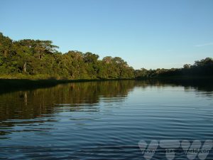 Tambopata National Reserve