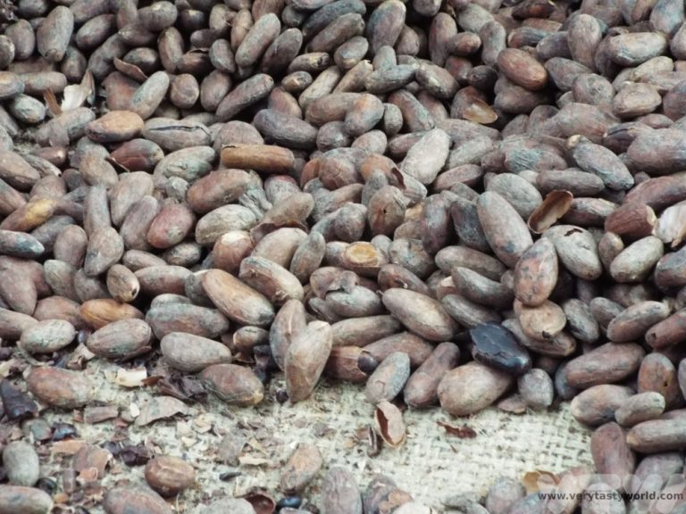 Love at First Bite – Costa Rica Chocolate