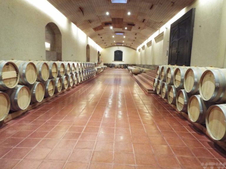 Maipo Valley Barrels