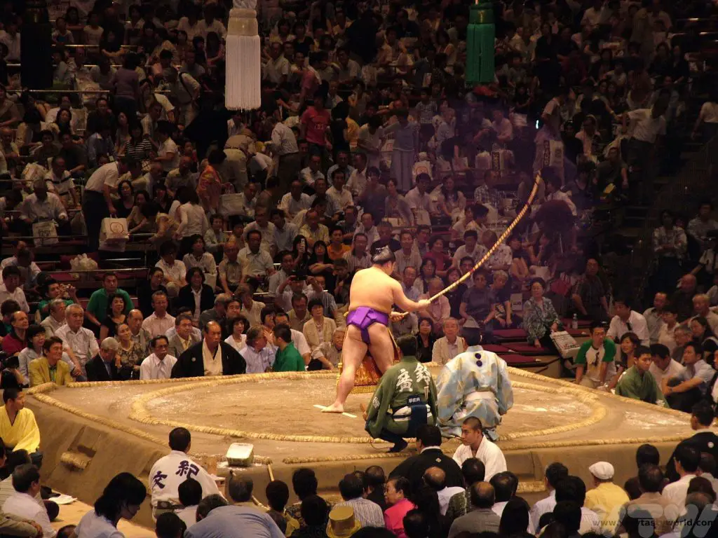 Watch sumo in Tokyo 