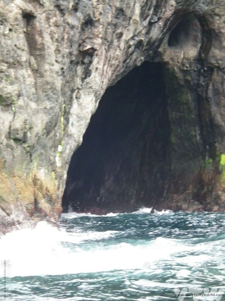Vestmanna boat trip