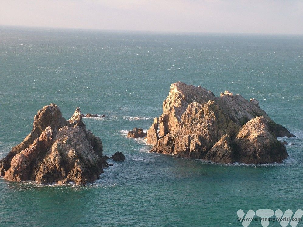 Garden rocks, Alderney. With gannets