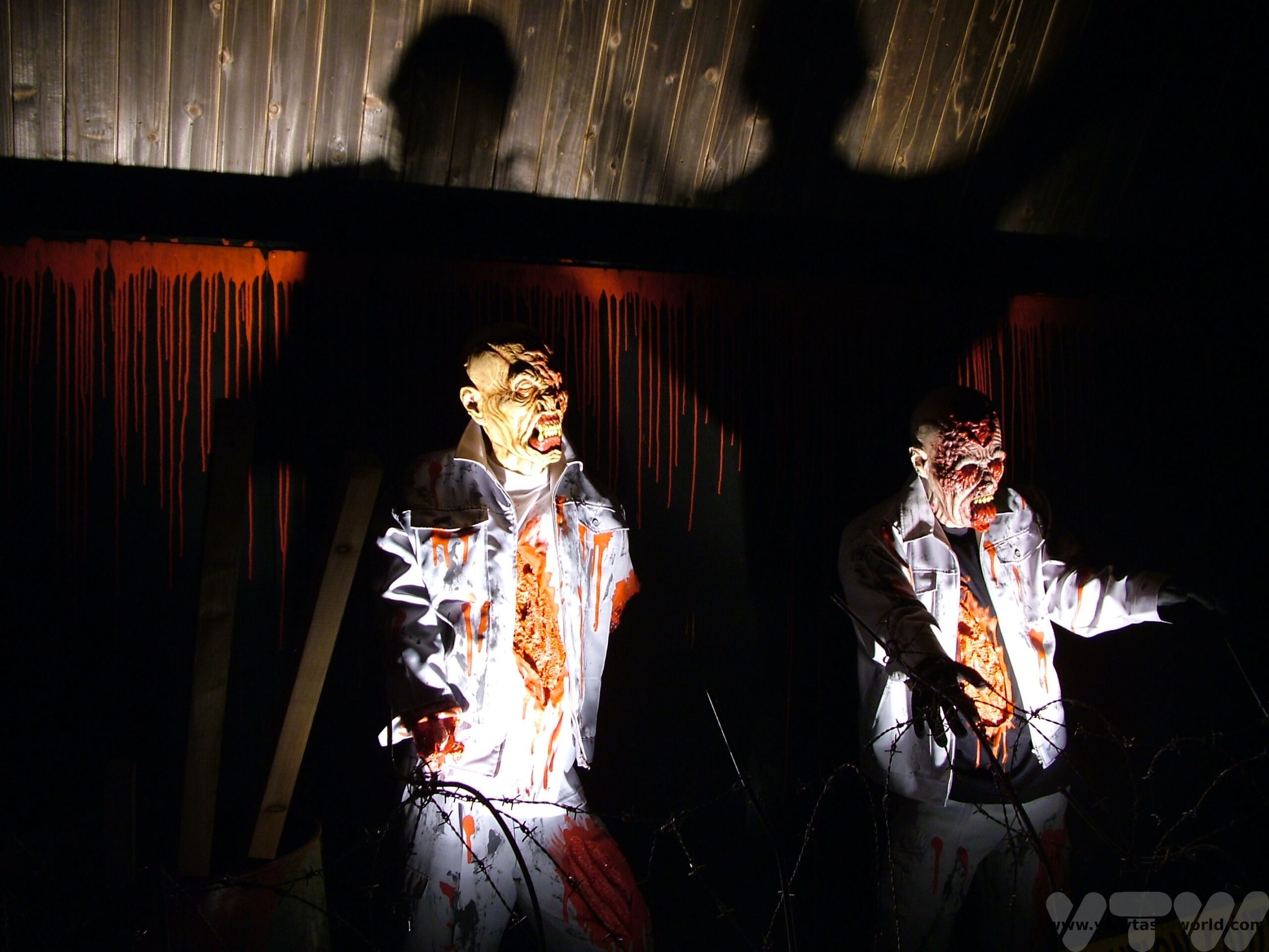 Japanese Horror Houses