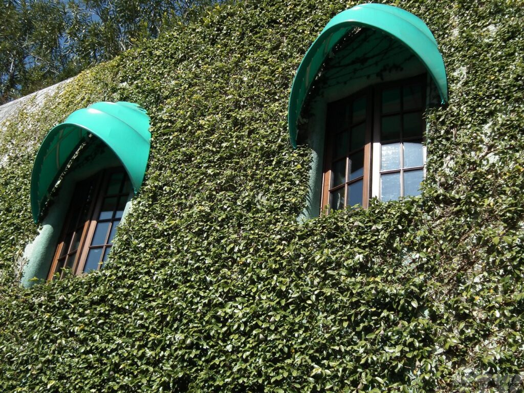 Visiting the Studio Ghibli museum - museum exterior