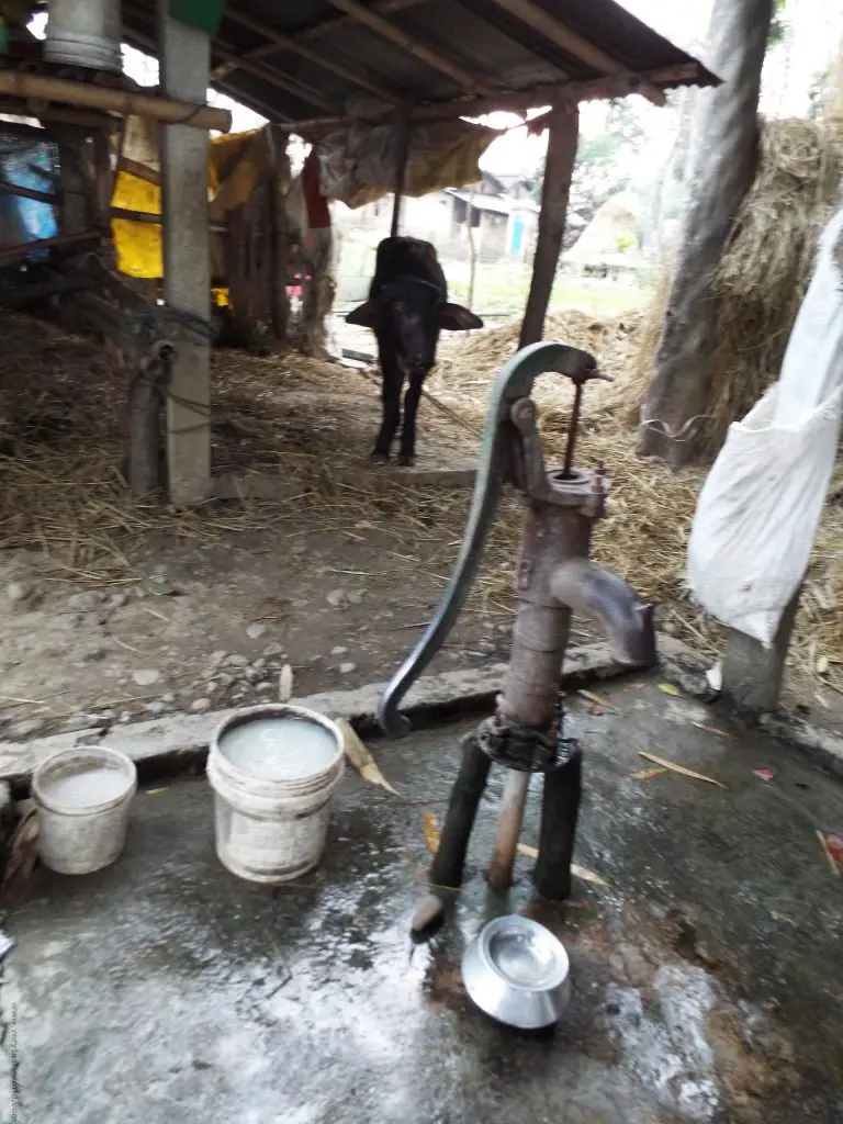 Chitwan National Park Tharu Village water pump