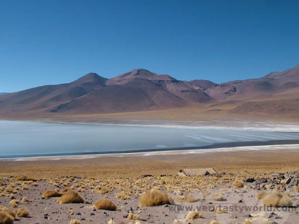 Atacama Desert itinerary Laguna Miscanti