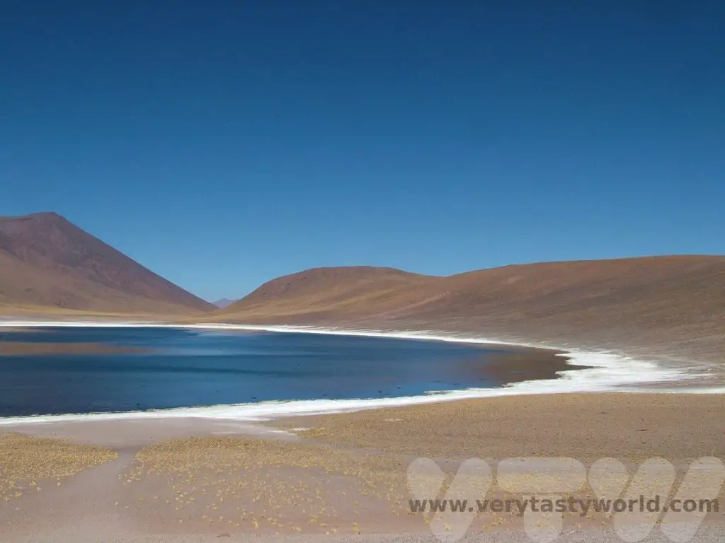Atacama Desert itinerary  Laguna Miñiques