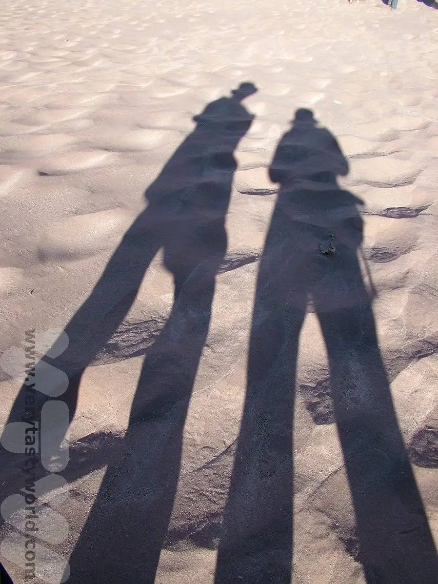 Atacama Desert sand dune shadows