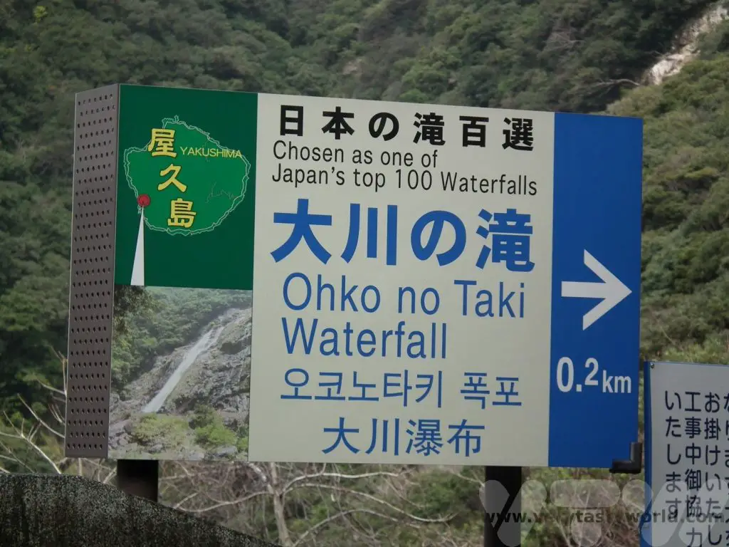 Yakushima Ohko no taki waterfall