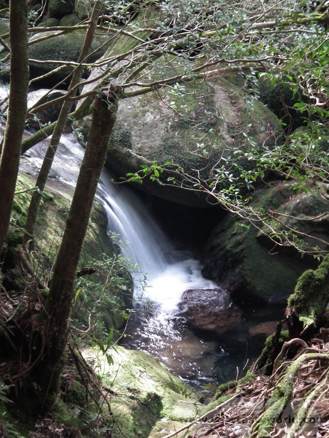 Shiratani Unsuikyo waterfall