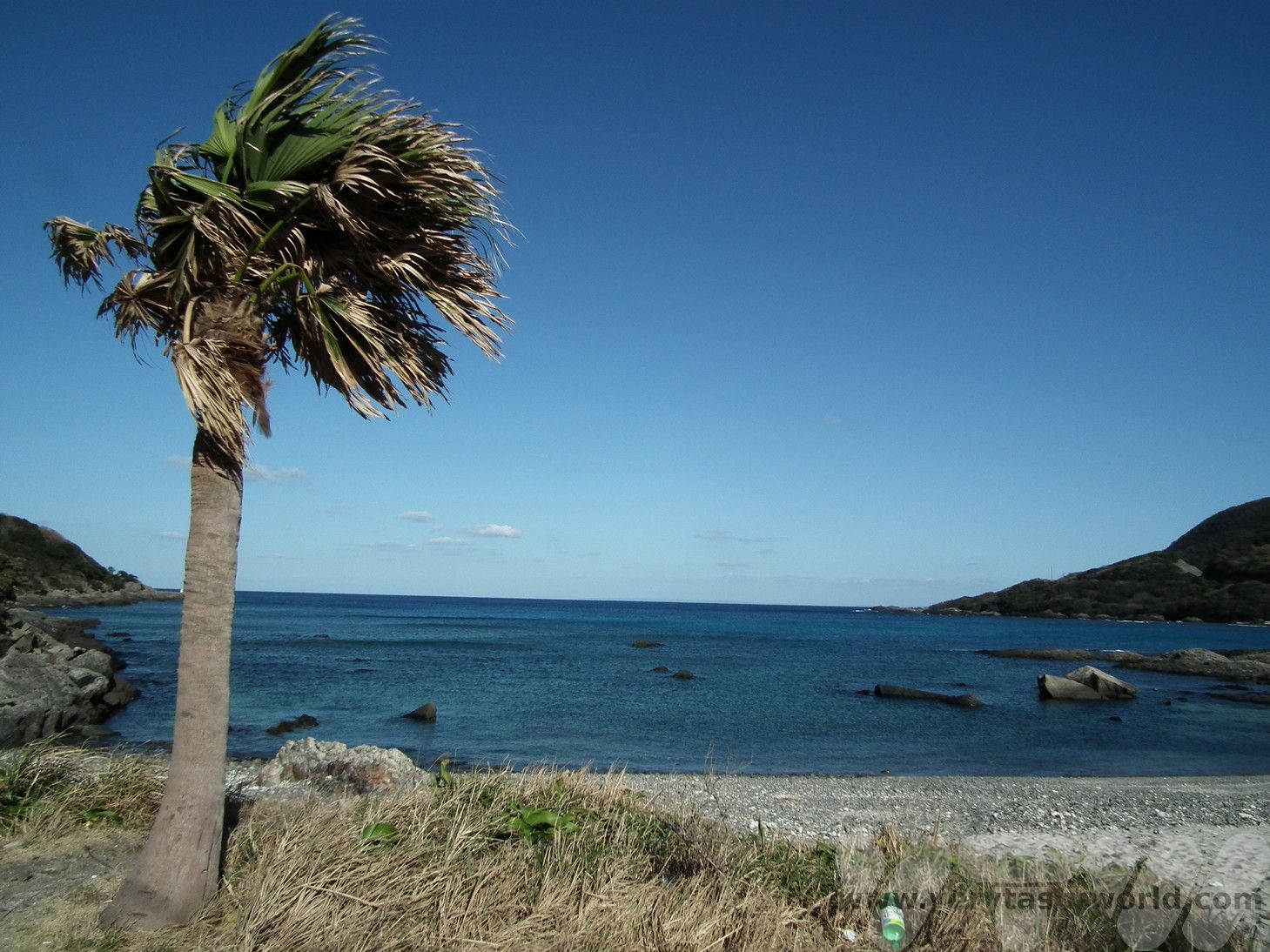 Visit Yakushima