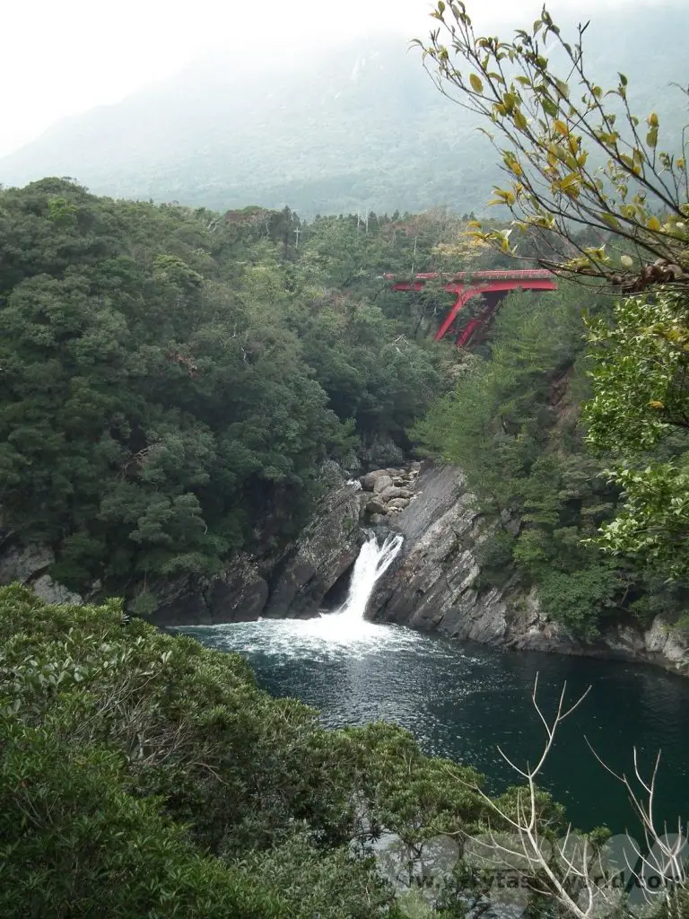 Visit Yakushima Toroki falls