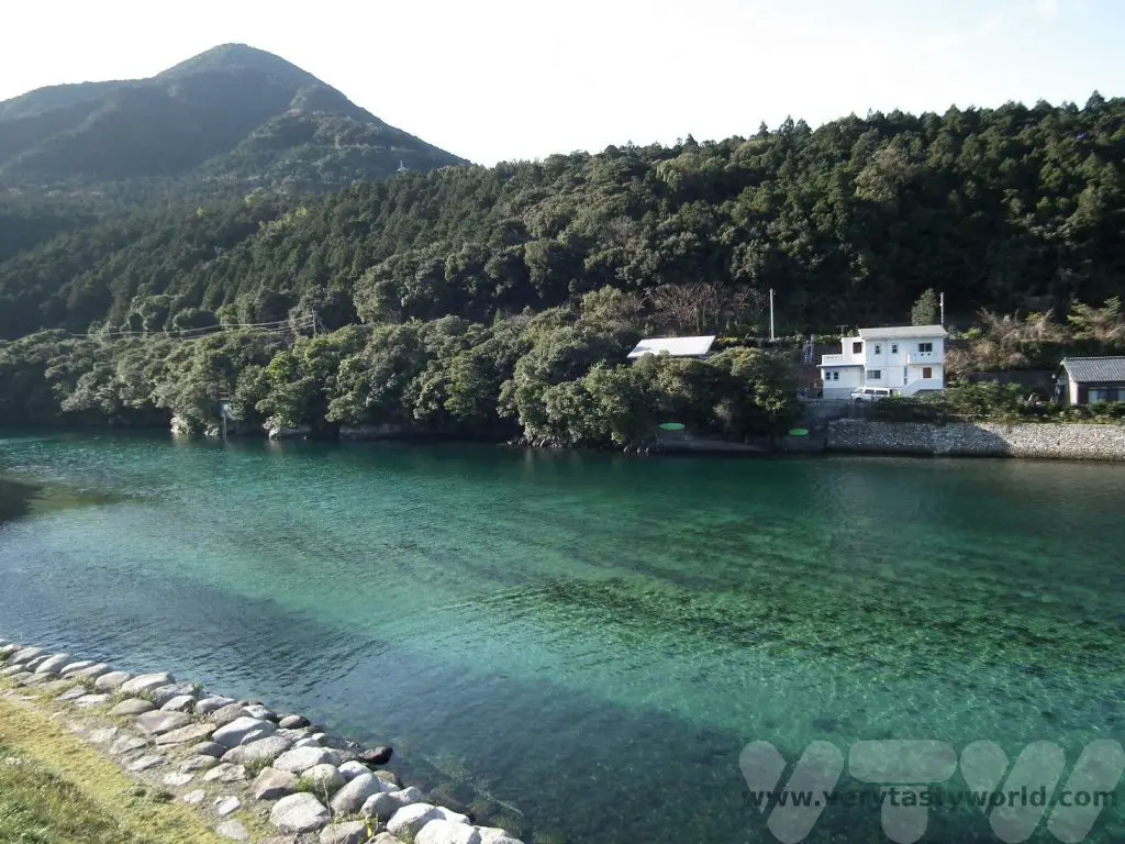 Visit Yakushima miyanoura river