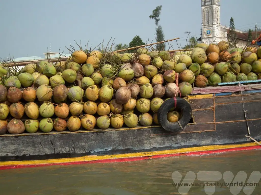Mekong Delta river cruise_11