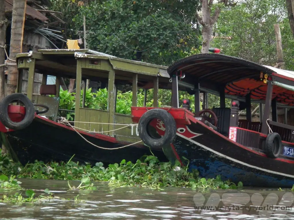Mekong delta river cruise