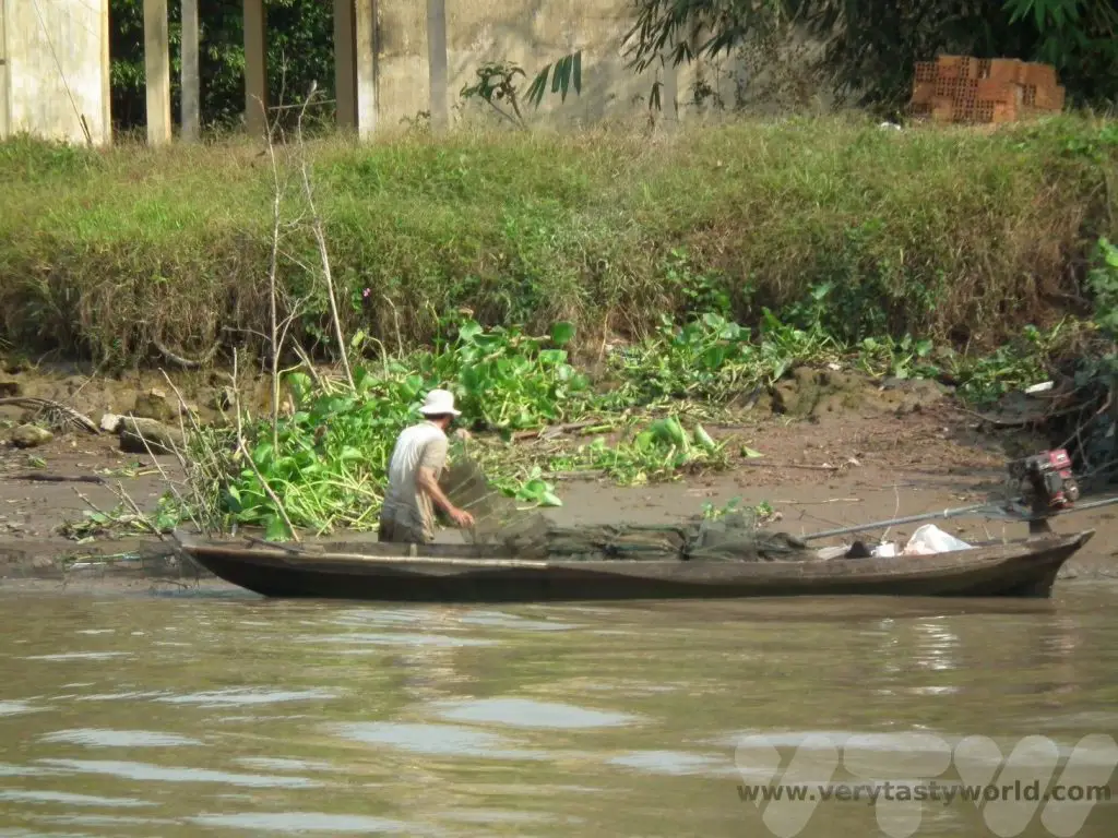 Mekong Delta river cruise