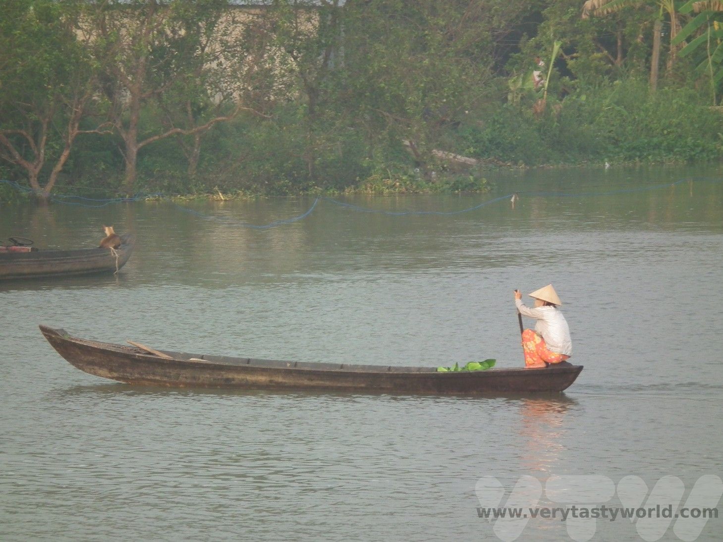 Mekong Delta river cruiseMekong Delta boat