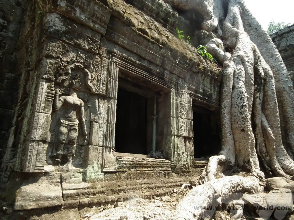 Visit Angkor Wat Ta Prohm