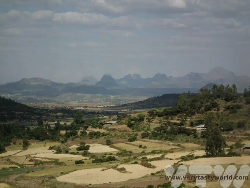 Tourist Attractions In Ethiopia 