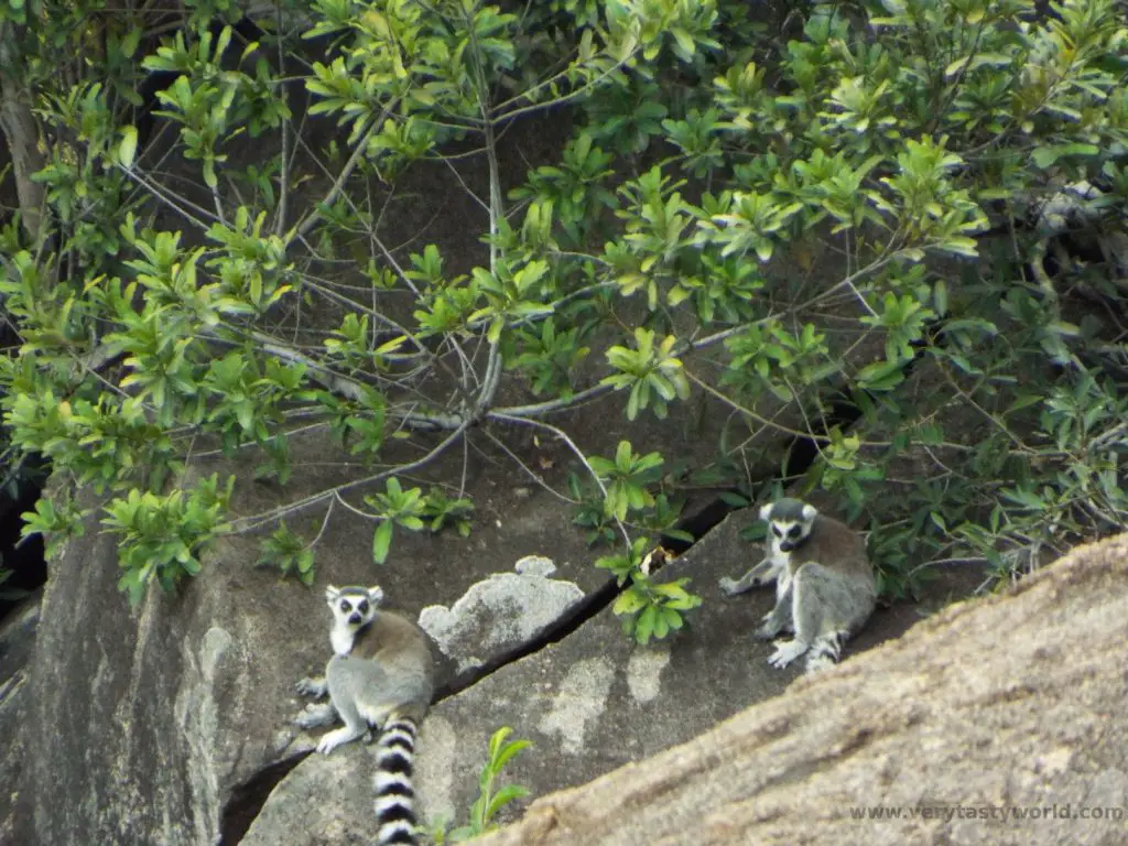 RN7 Madagascar