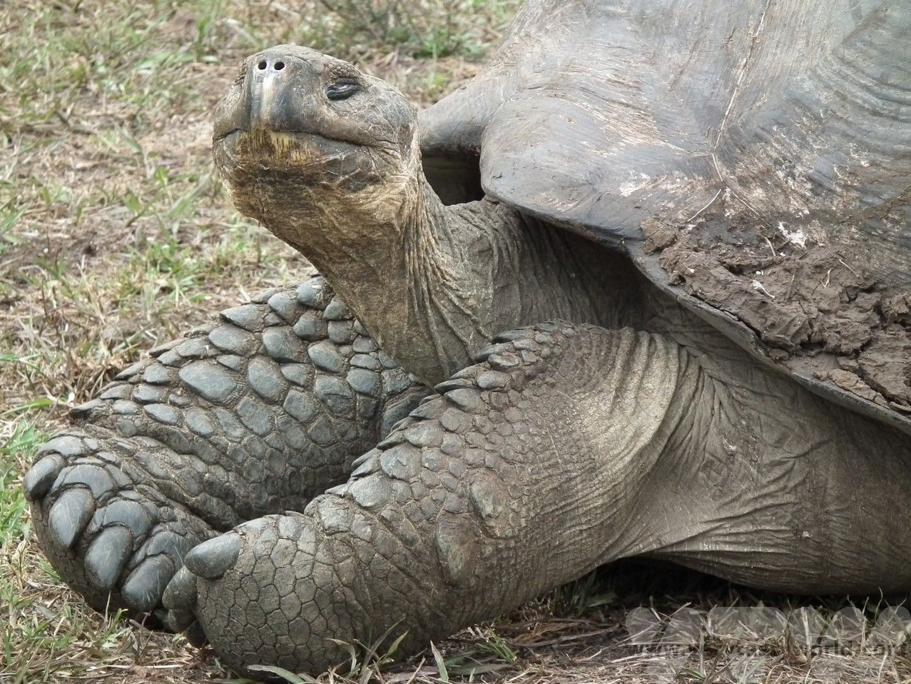 Galapagos Land Based Itinerary