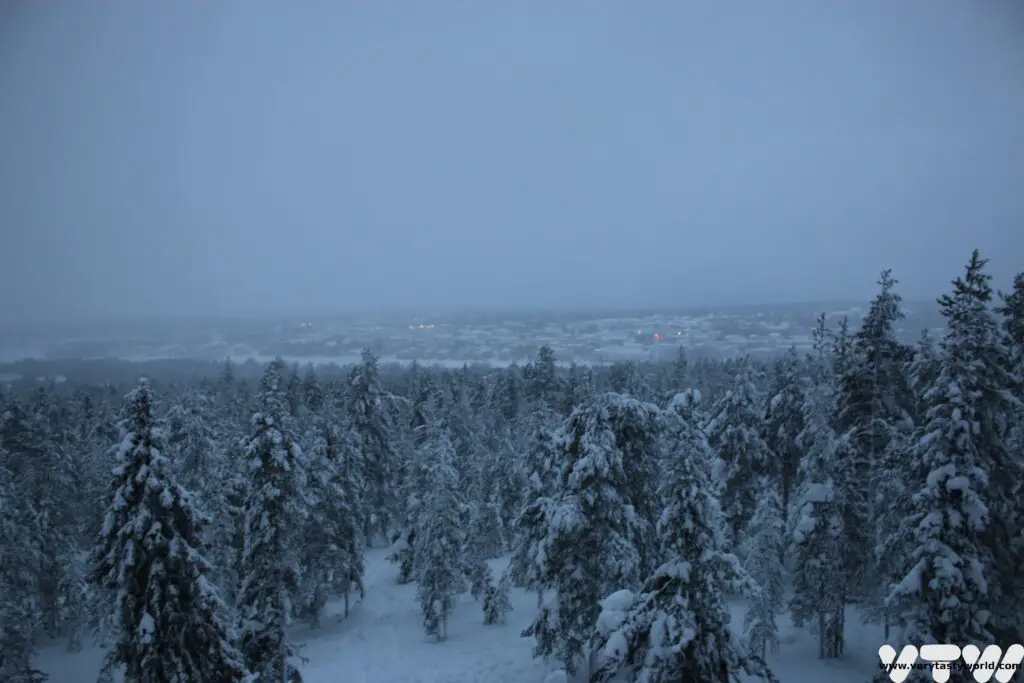 Things to do in Rovaniemi in winter