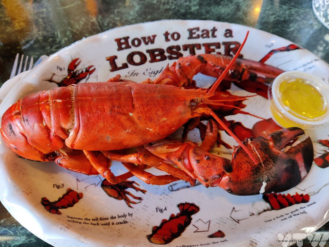lobster dinner