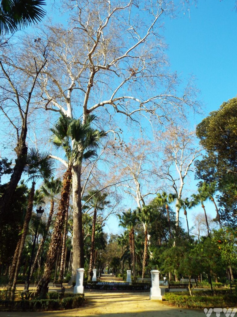 Maria Luisa park in Seville