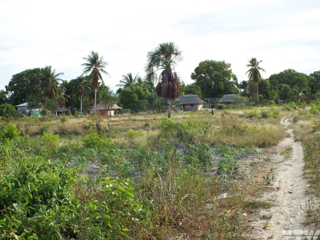 Rewa Amerindian village