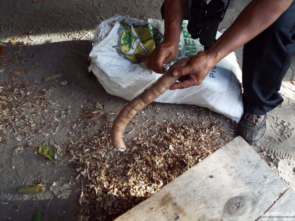 Amerindian Food In Guyana - cassava root