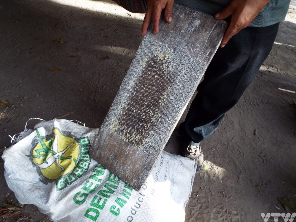 manual cassava grater