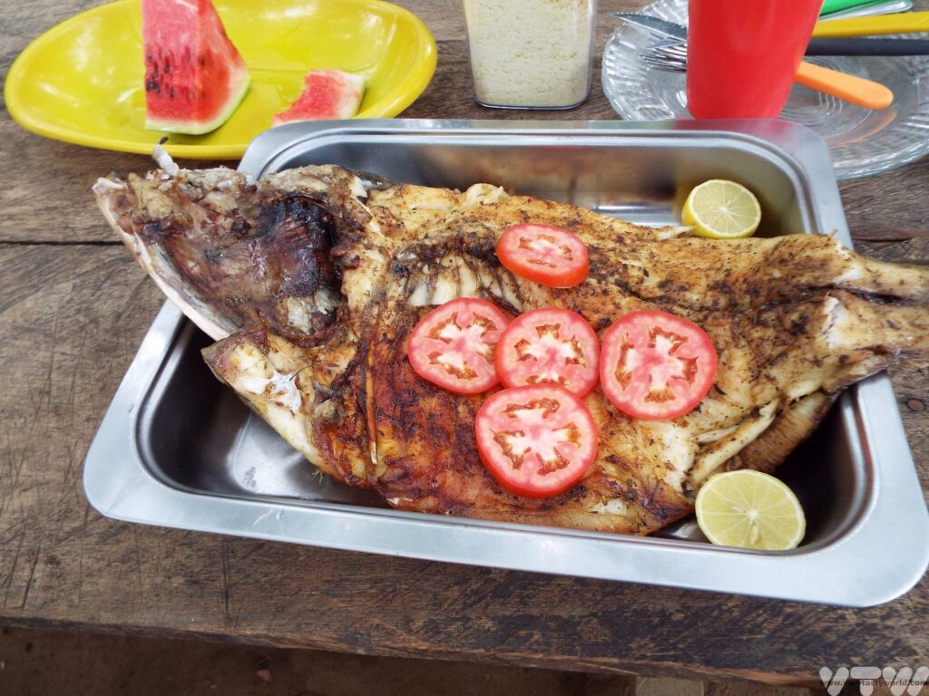 Tamaqui fish roasted