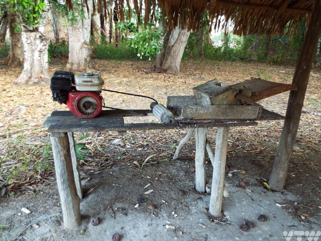 motorised cassava grater