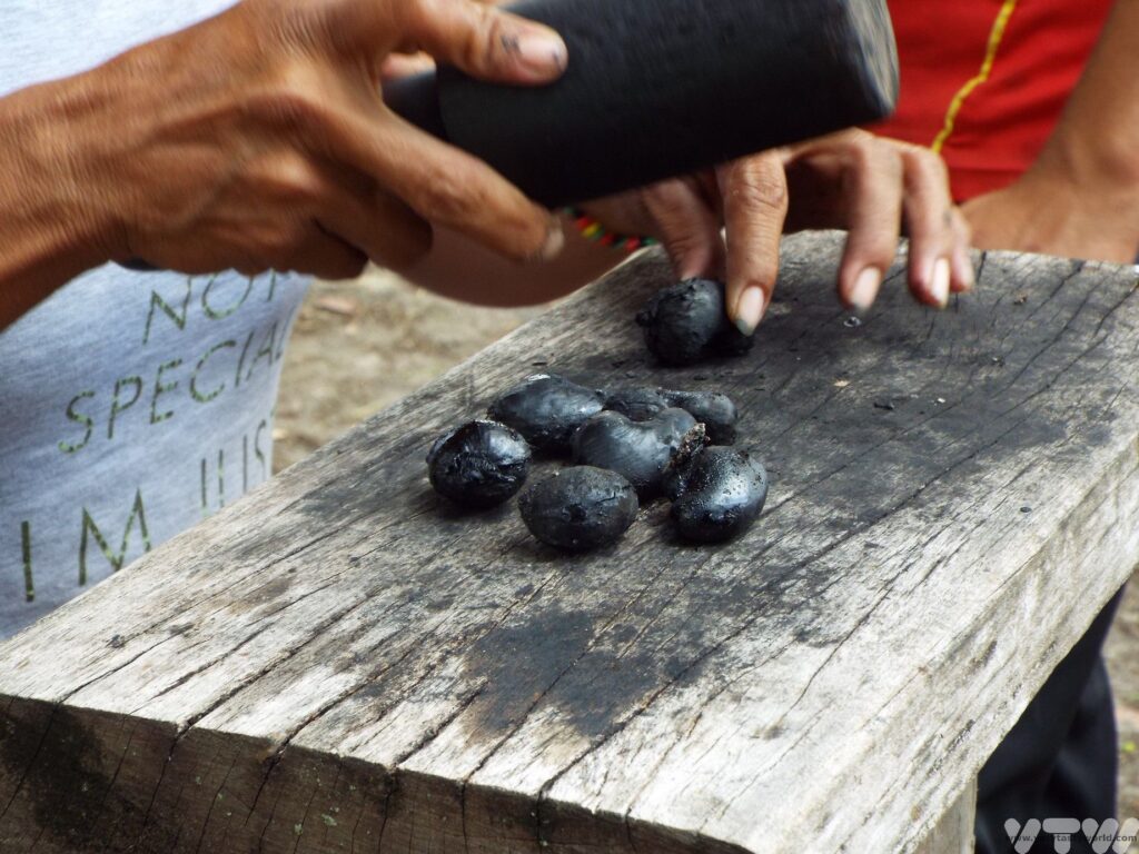 removing cashew nuts from the burned shells