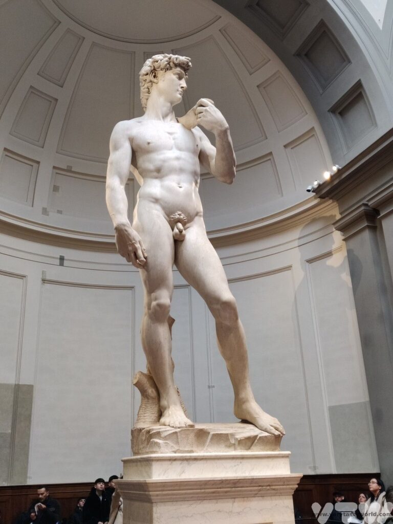 Michelangelo’s David, a sculpture of marble perfection