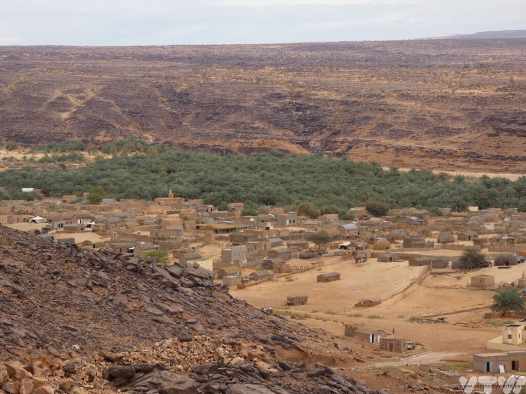 Landscape showing settlement amongst the date palm trees