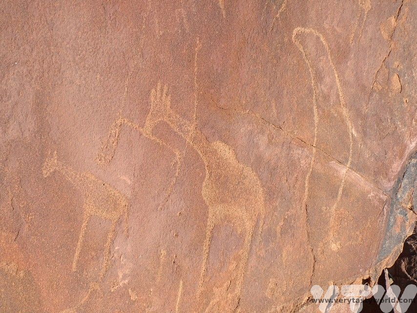 Rock paintings of giraffe in Damaraland