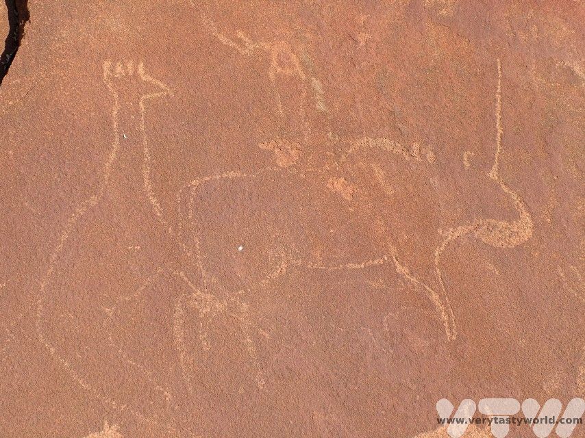 rock paintings of animals in Damaraland