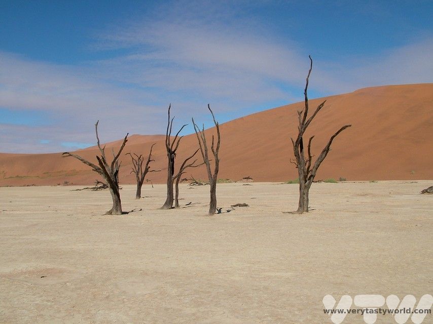 The stark beauty of dead trees in Dead Vlei with red dunes in the background