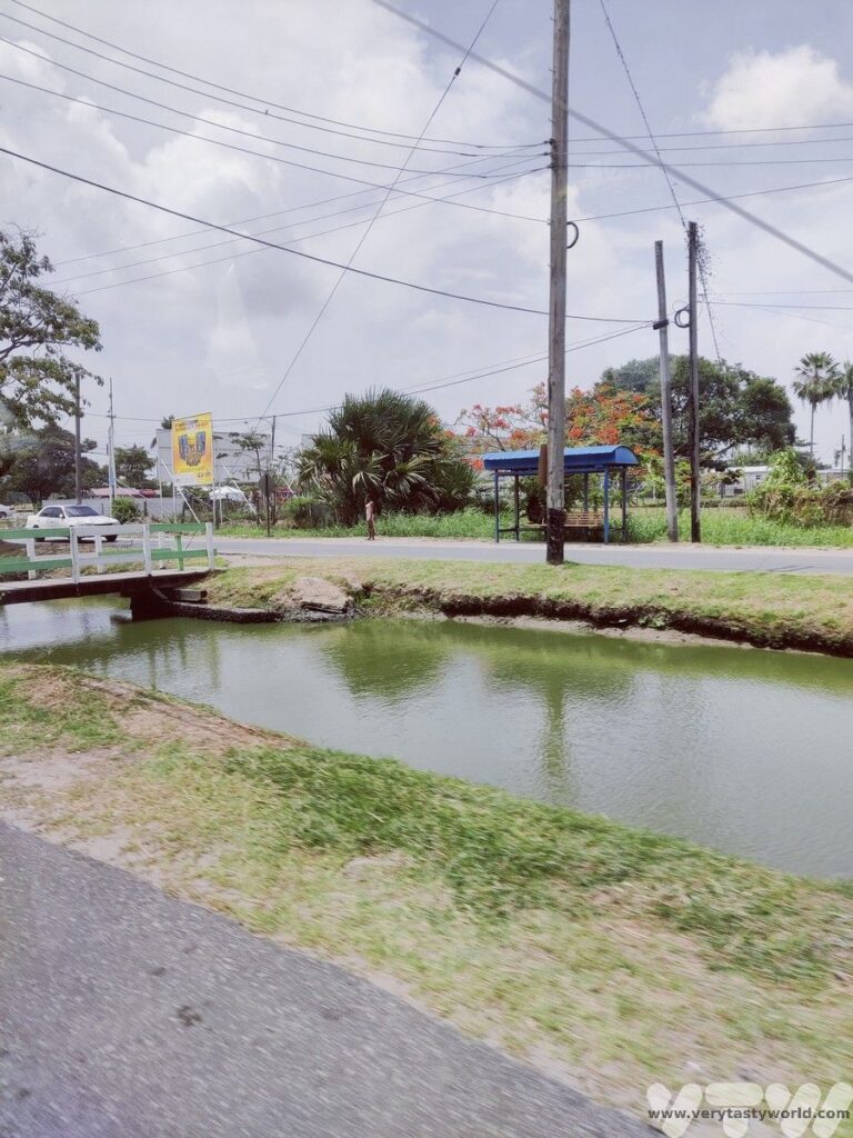 Street scene in Georgetown Guyana, shoing some of the drainage channels