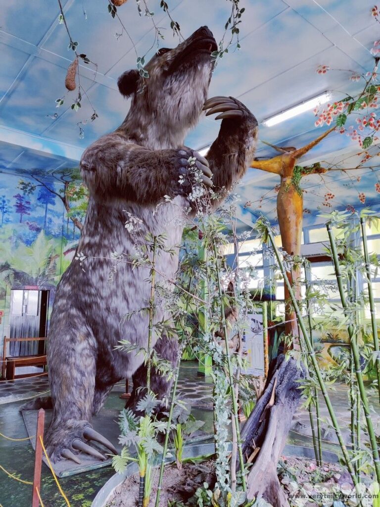 A replica of a Megatherium - a giant sloth