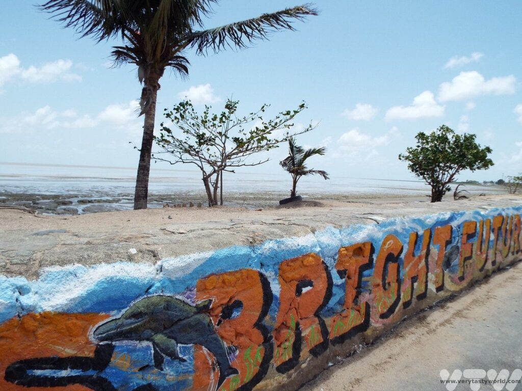Things to do in Georgeown Guyana showing sea wall and hte beach
