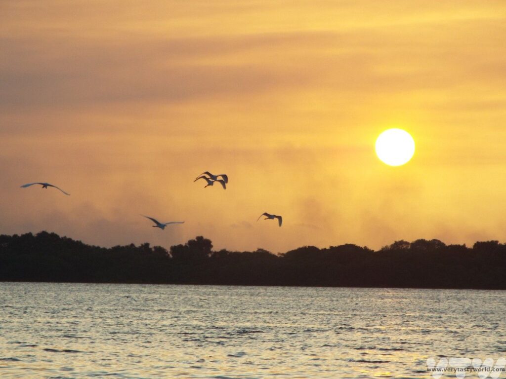 Sunset across the river with a yellow sun and silhouets of birds flying across the sky